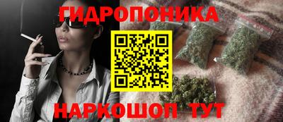 apvp Кимры