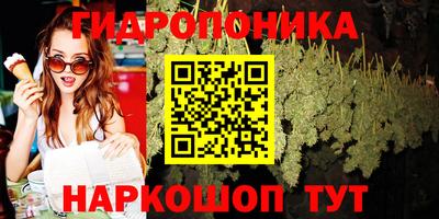 гашик Аргун