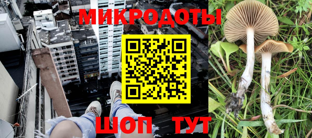 Галлюциногенные грибы мухоморы Конаково