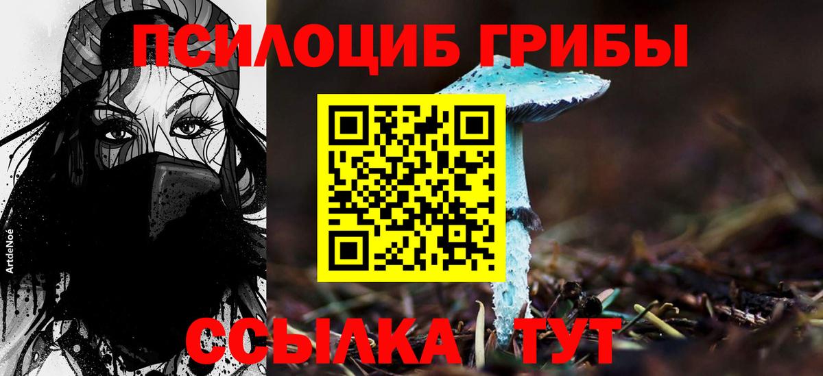 Псилоцибиновые грибы MAGIC MUSHROOMS Конаково